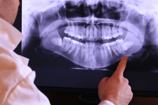 Best Emergency X-Rays and Diagnostics in Red Boiling Springs, TN