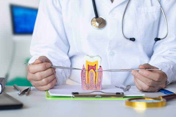 Best Knocked-Out Tooth (Avulsed Tooth) Treatment in Red Boiling Springs, TN